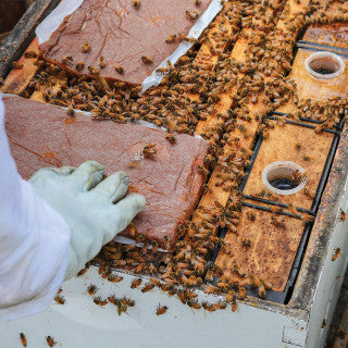 Ultra Bee Rocket Fuel Patties™ with Natural Pollen + Bio-Activator, 10 lb