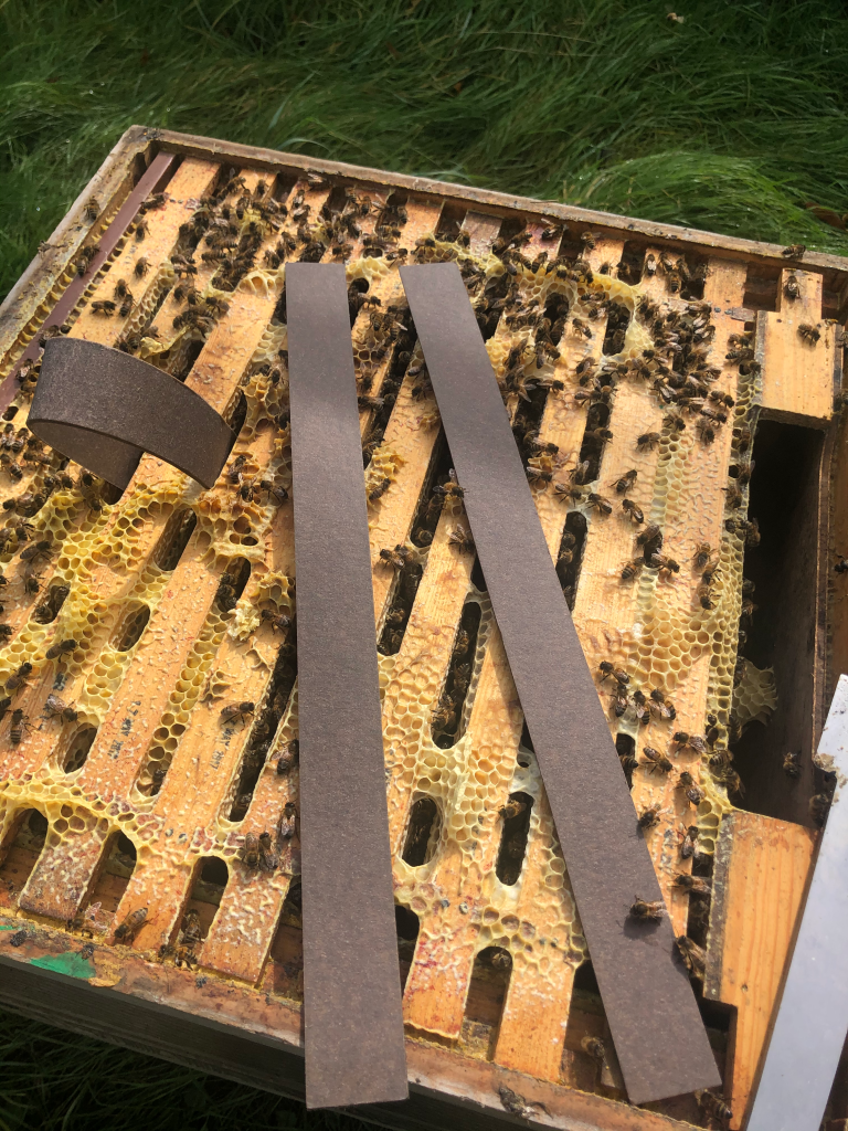 VarroxSan 60 strip pack