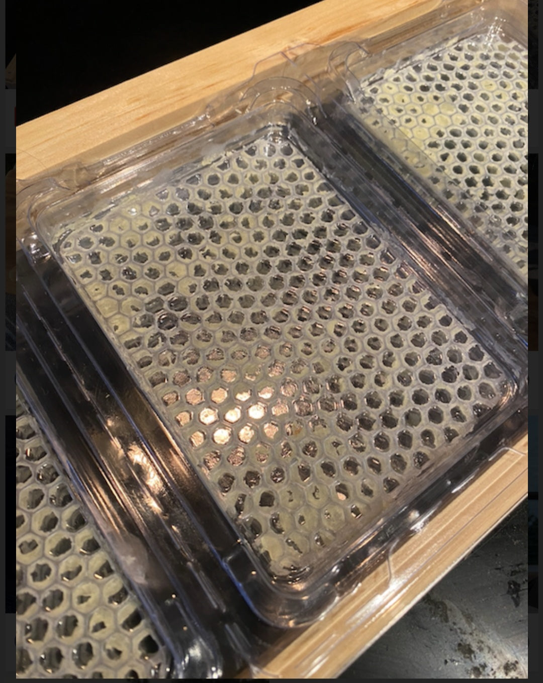 SimplKomb Honey Comb 20 pack Cassettes