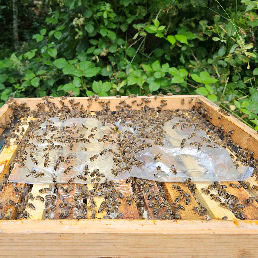 Hive Alive EZ Feed Super Syrup