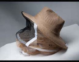 Brown Straw Hat and Veil Combo