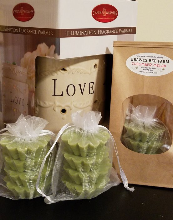 Cucumber Melon Wax Tart Melts